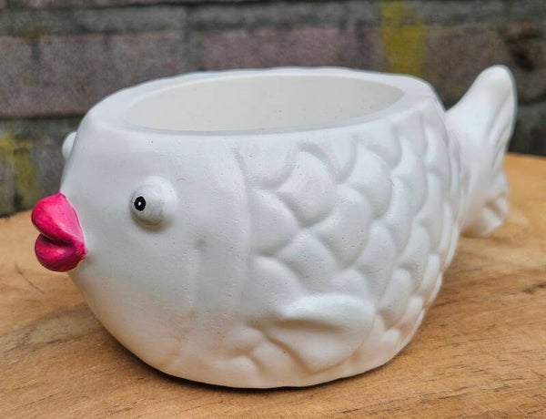 "Pink Lips" Wit Gips