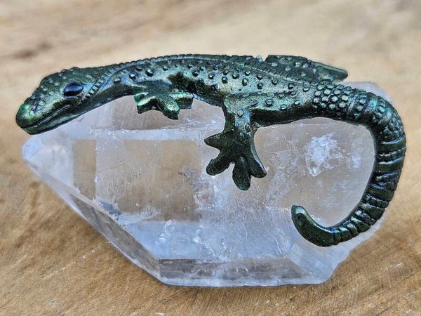 Hagedisje op Bergkristal punt 1