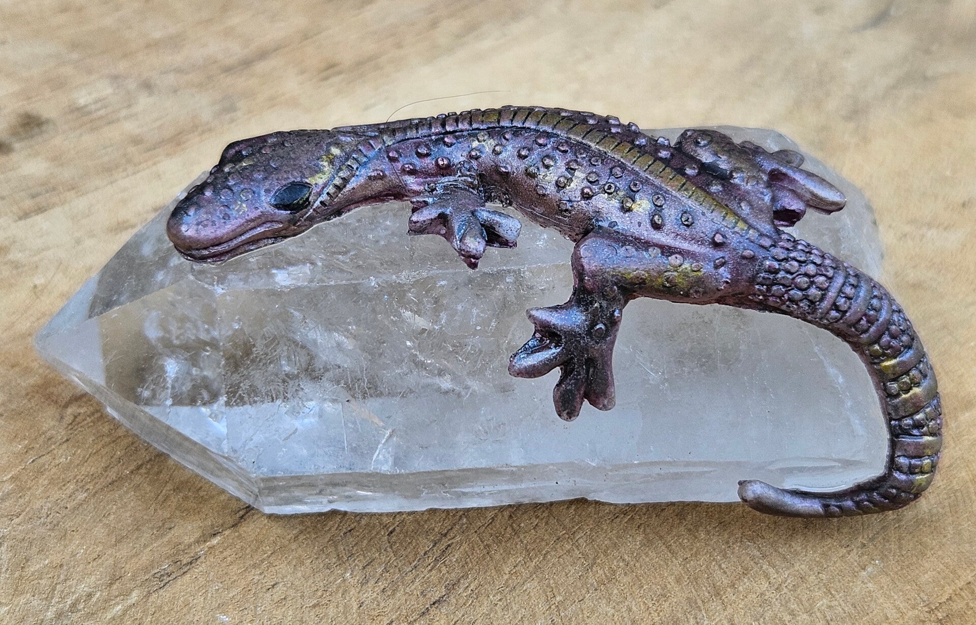 Hagedisje op Bergkristal punt 2