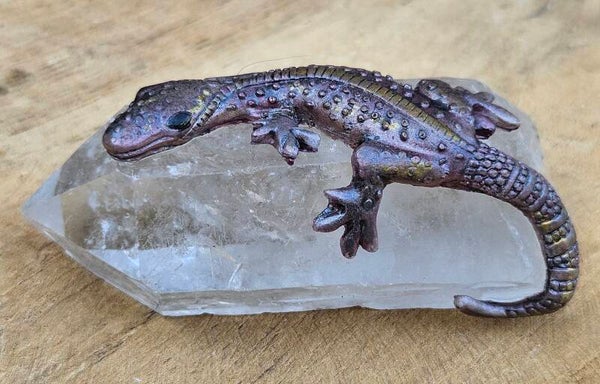 Hagedisje op Bergkristal punt 2