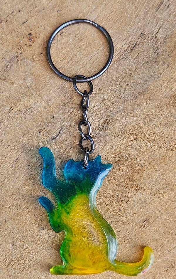 "Kleurrijke kattenkwaad" Sleutelhanger Catch