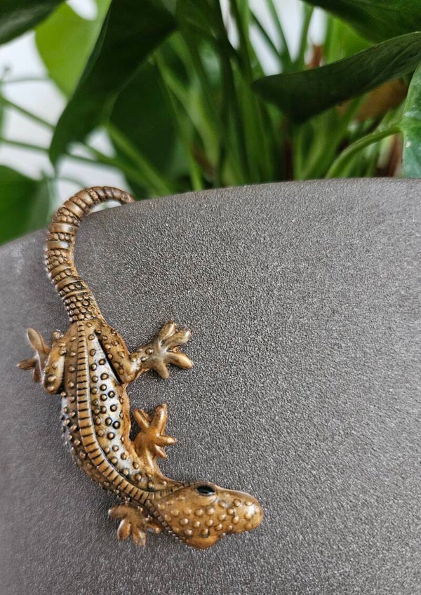 "Hagedisje Plantenbak" Goudbrons