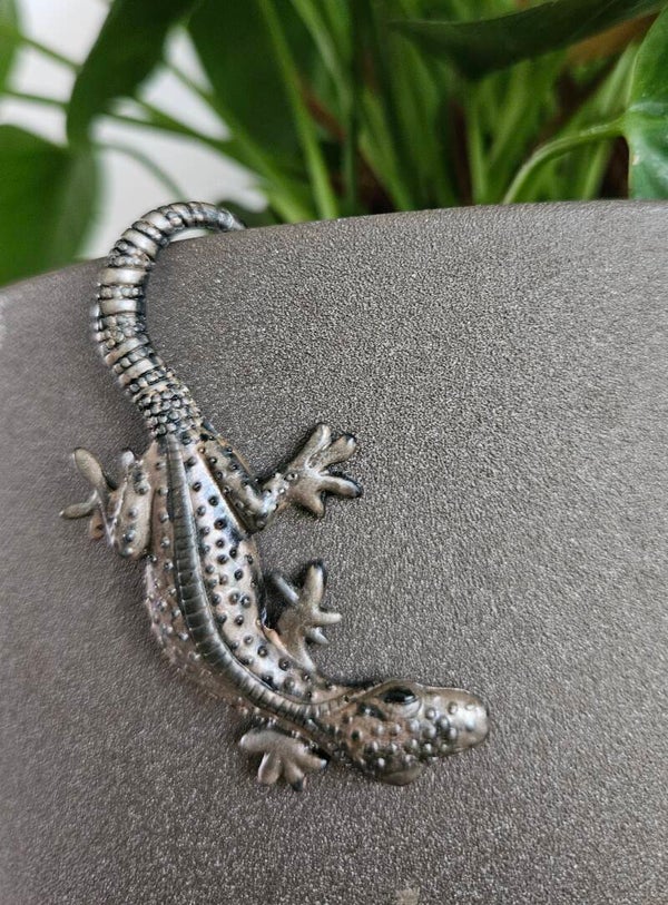 "Hagedisje Plantenbak" Bruin