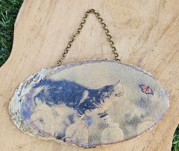 "Houten hanger" Kat Tweedekansje