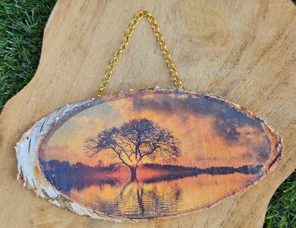 "Houten hanger" Boom