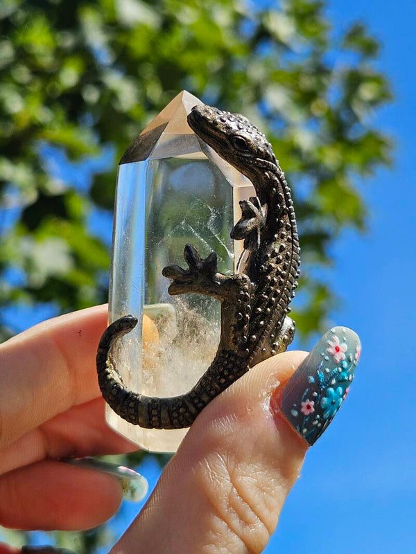 Hagedis heldere kristalpunt