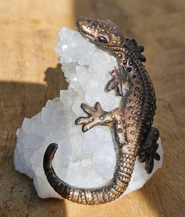 Hagedis bergkristal hoopje