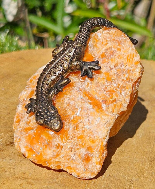 Hagedisje op ruwe Orchidee Calciet