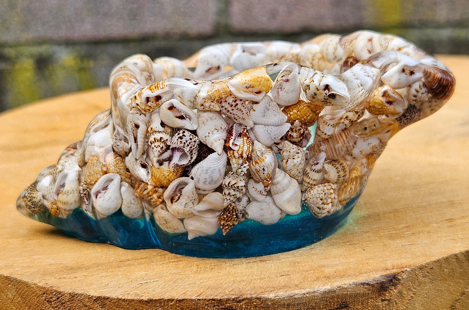 "Bakje schelp" Transparant