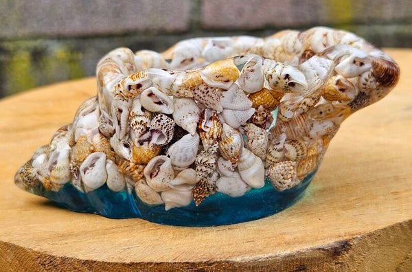 "Bakje schelp" Transparant