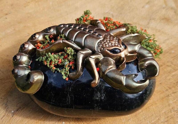 Schorpioen op Obsidiaan