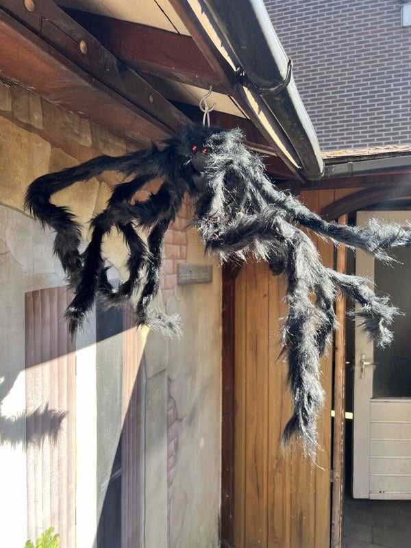 Halloween Grote Spin