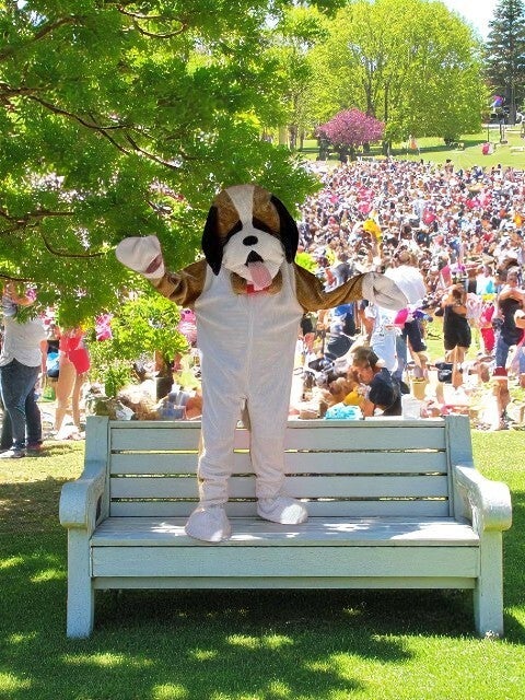 Sint Bernard Mascotte