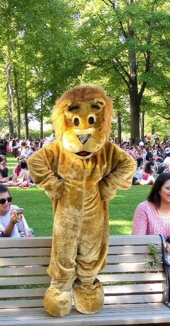 Leeuw Mascotte