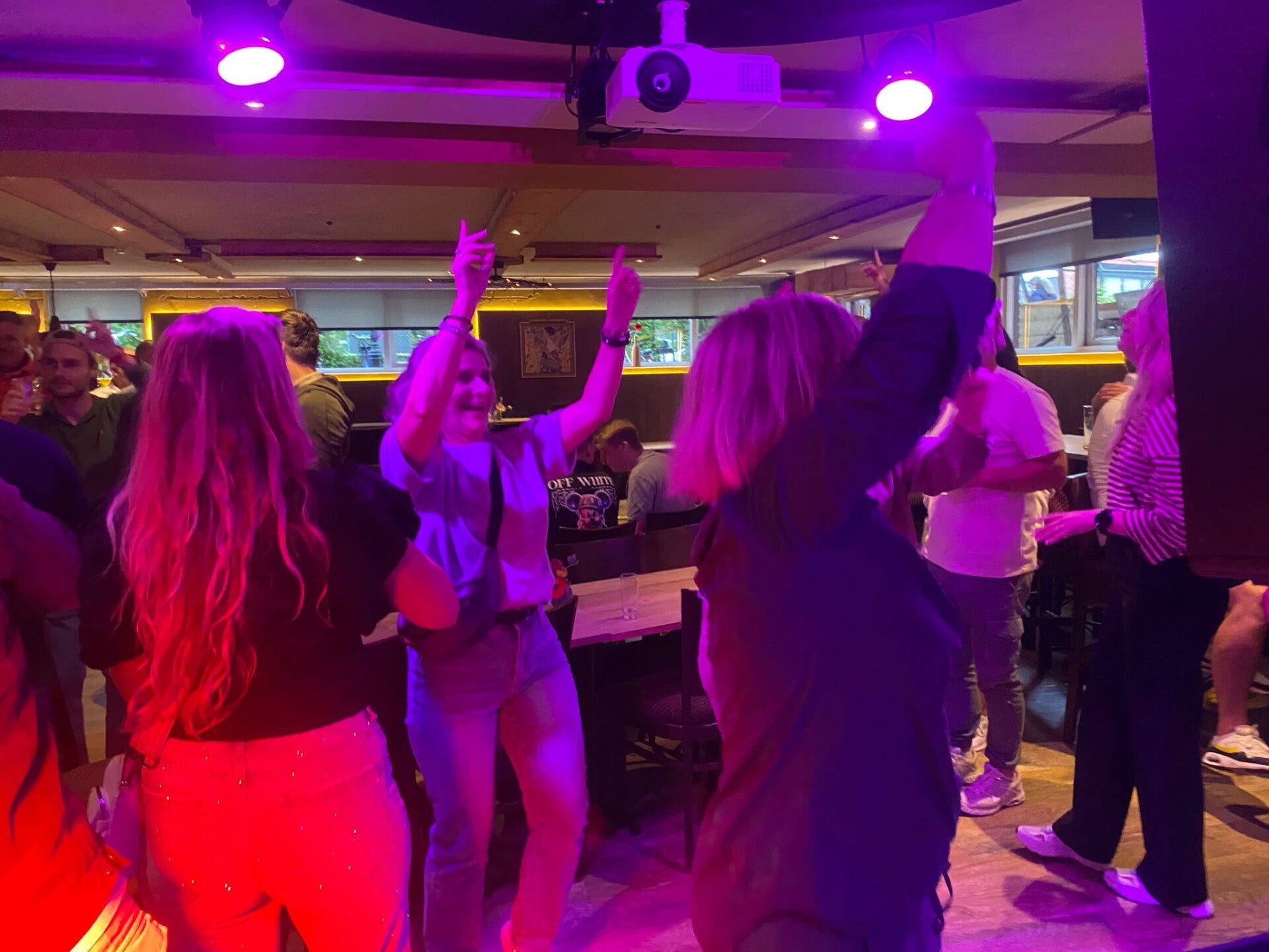 DJ William tijdens zakelijk evenement bij De Wilgenweard in Nijverdal