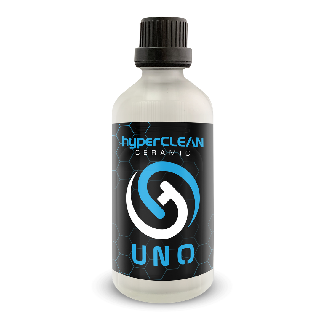 One Year Paint Protection