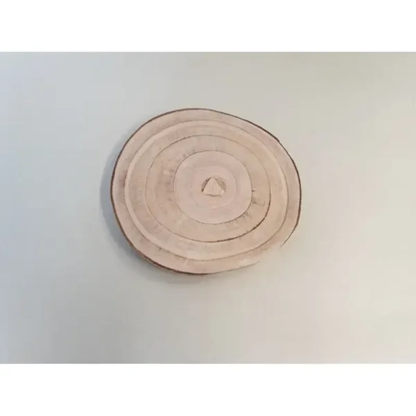 Houtschijf 25cm/3H