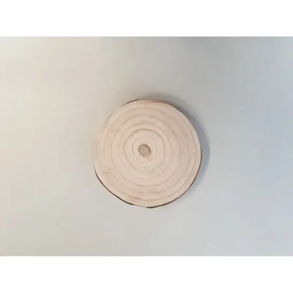 Houtschijf 20cm/3H