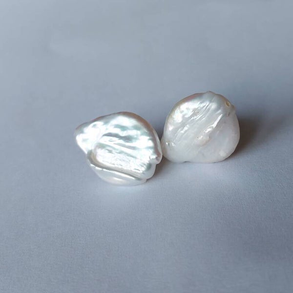 Coin Parel zilveren oorstekers