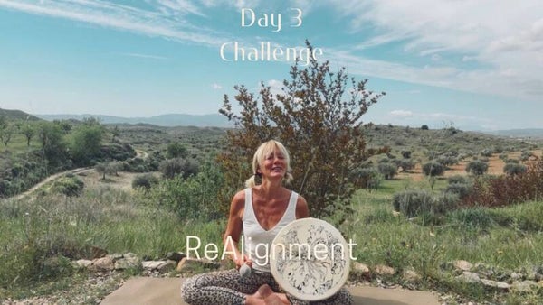 3 Days, 11 minutes for ReAlignment