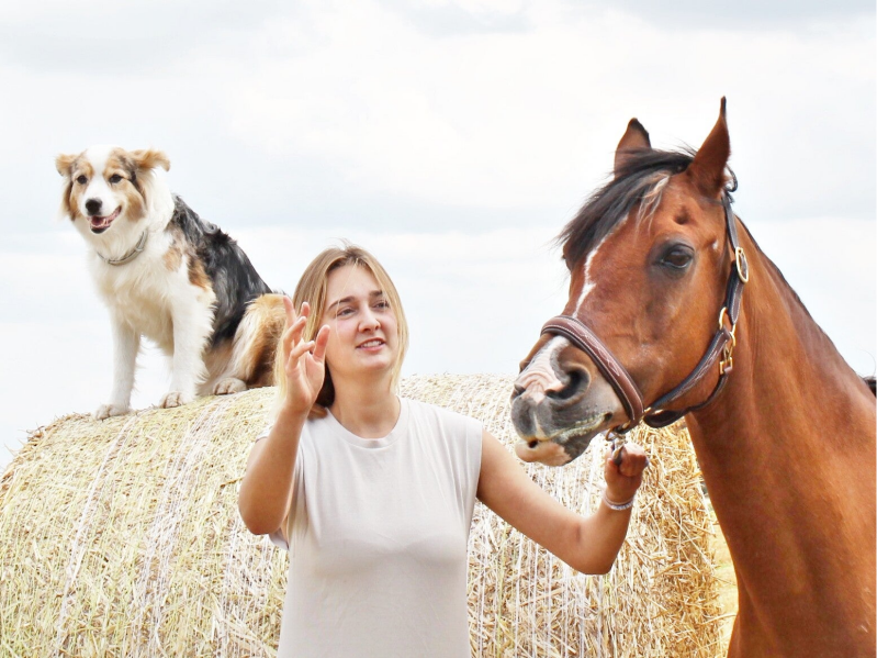Tiergestüzte Therapie. Bremen. Psychotherapie mit Tieren. Tiere helfen bei seelischen Verletzungen. Seelische Gesundheit durch Tiere. Tiergestütztes Coaching.