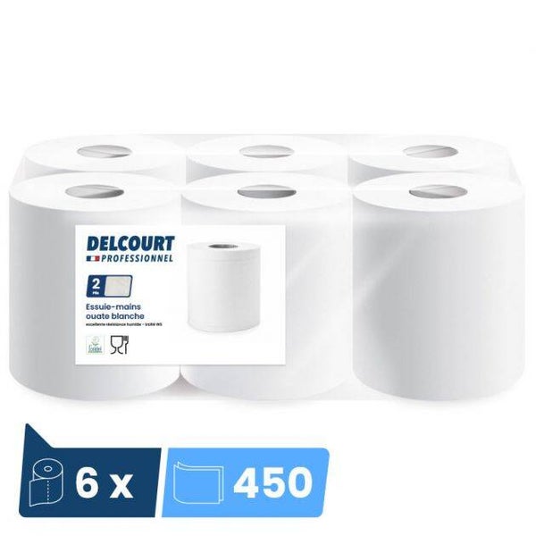 Rouleaux x6 essuie tout 450 feuilles 2 plis
