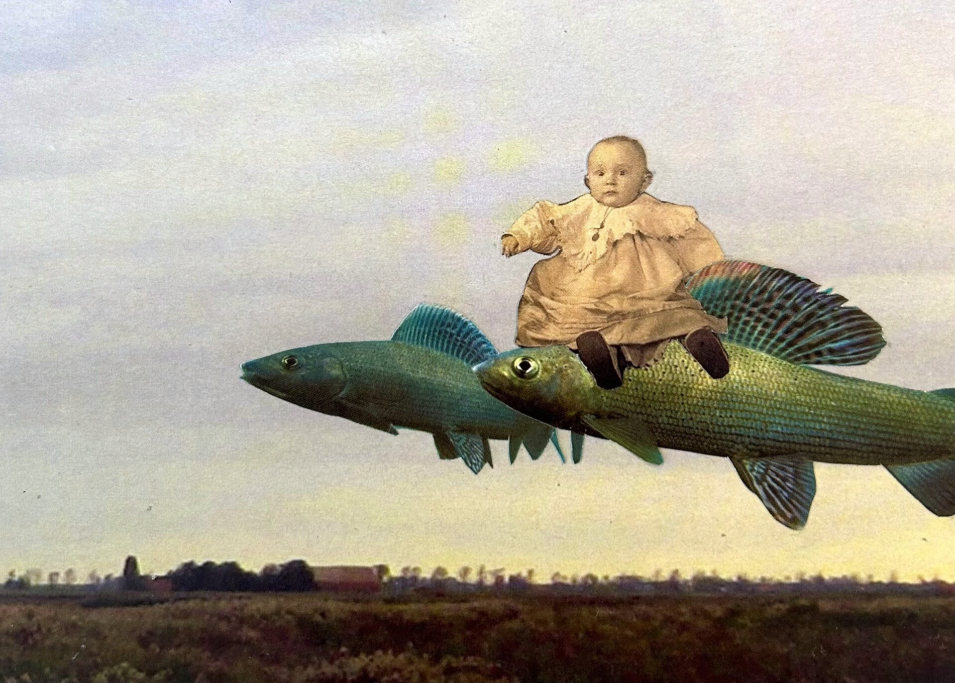 Erster Flug