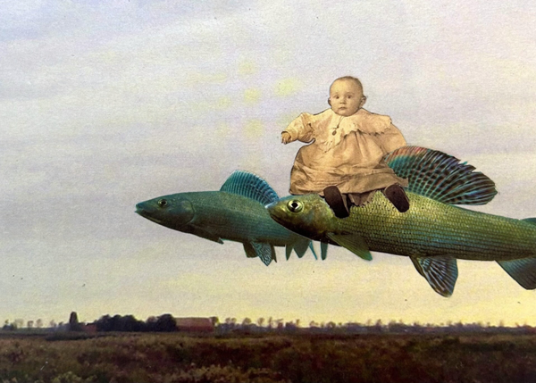 Erster Flug