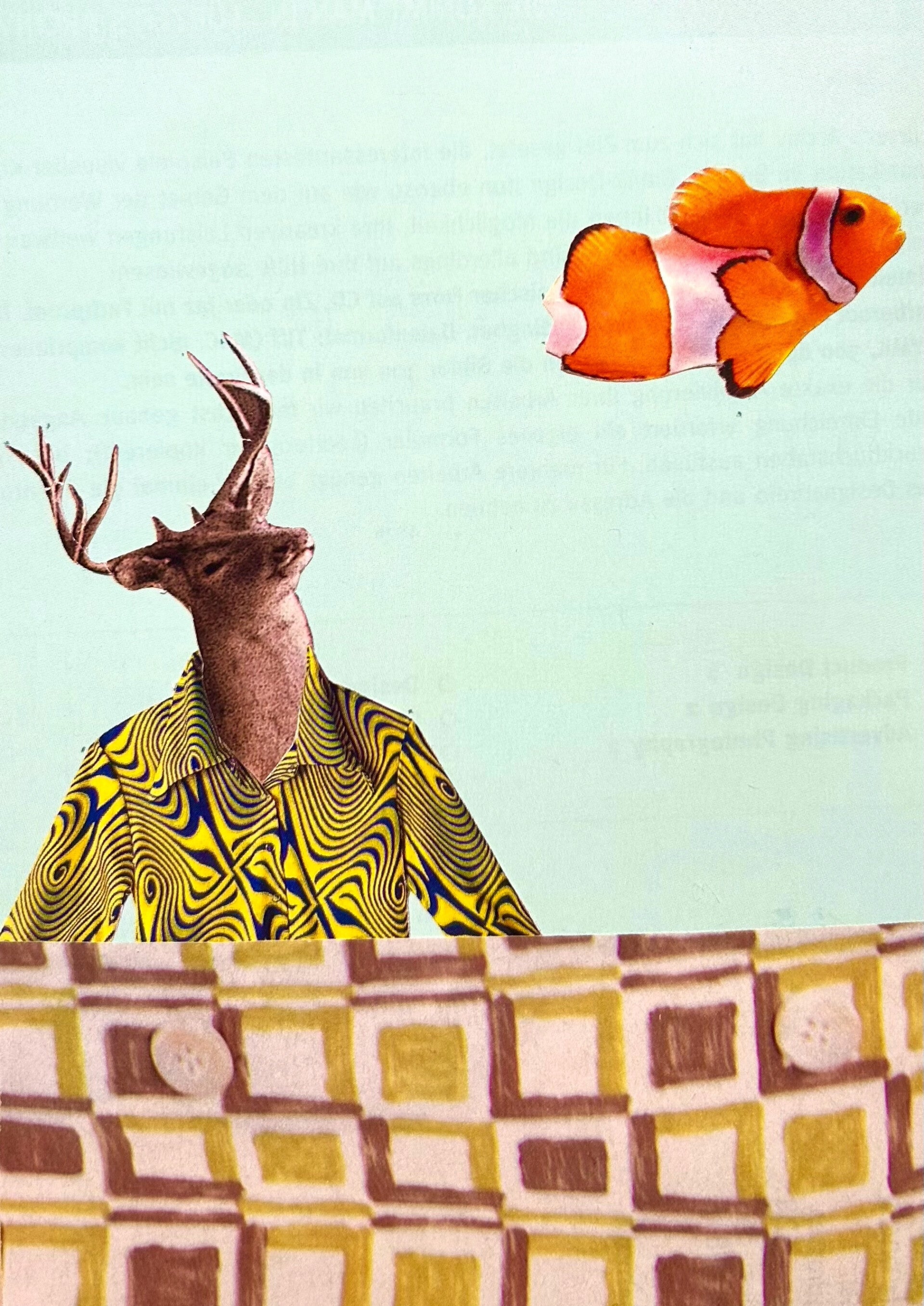 Und manchmal schaut ein Fisch vorbei...