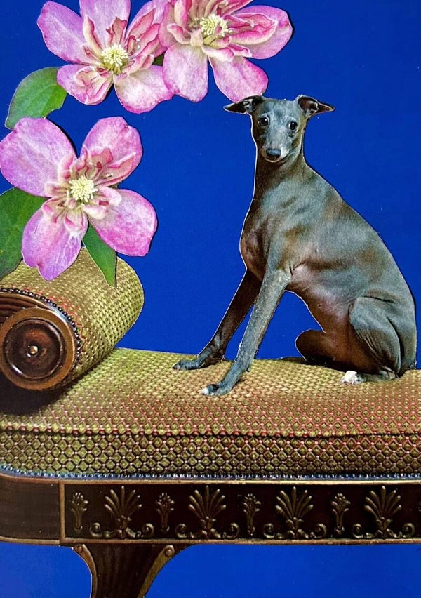 Stillleben mit Windhund