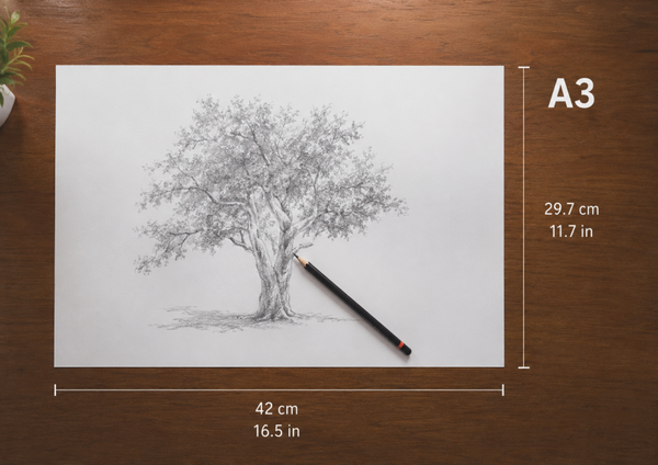 Dibujo Lápiz A3