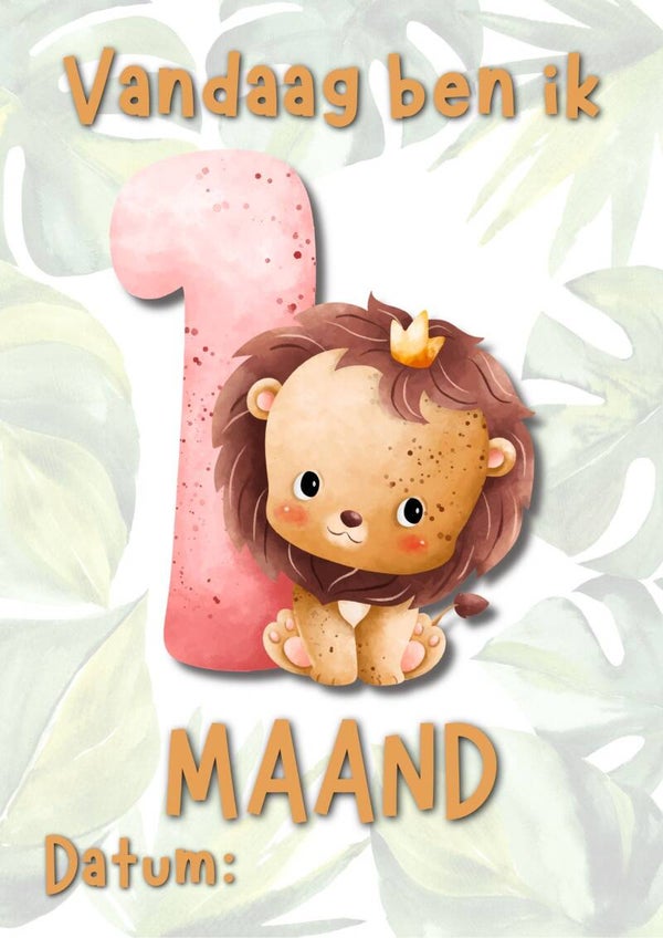 Mijlpaal Posters Baby - Dieren