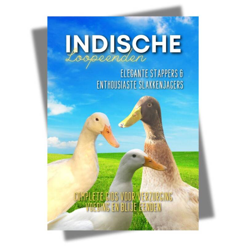 Informatiegids Indische Loopeenden