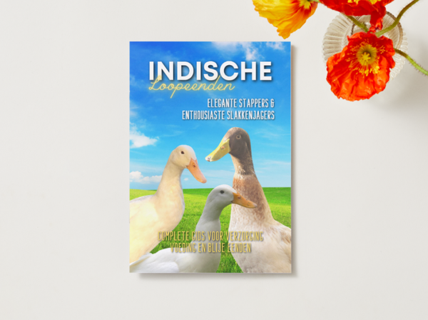 Informatiegids - Indische Loopeenden