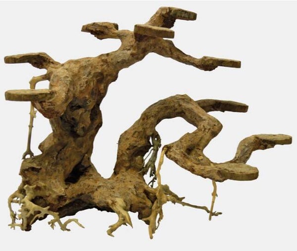 Superfish Bonsai Planter