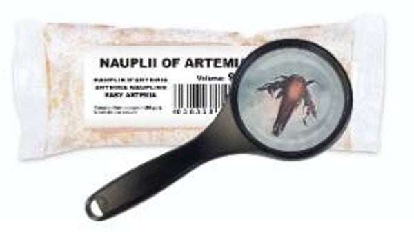 Ichthyo Trophic Artemia-nauplii