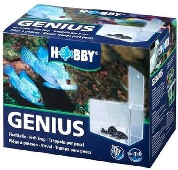 Hobby genius visval