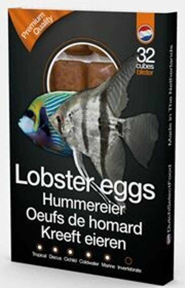 Dutch Select Lobster eggs