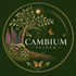 Cambiumtuinen