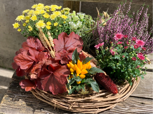 Herbstbepflanzung in Korb