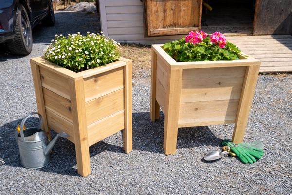 Cedar Planters