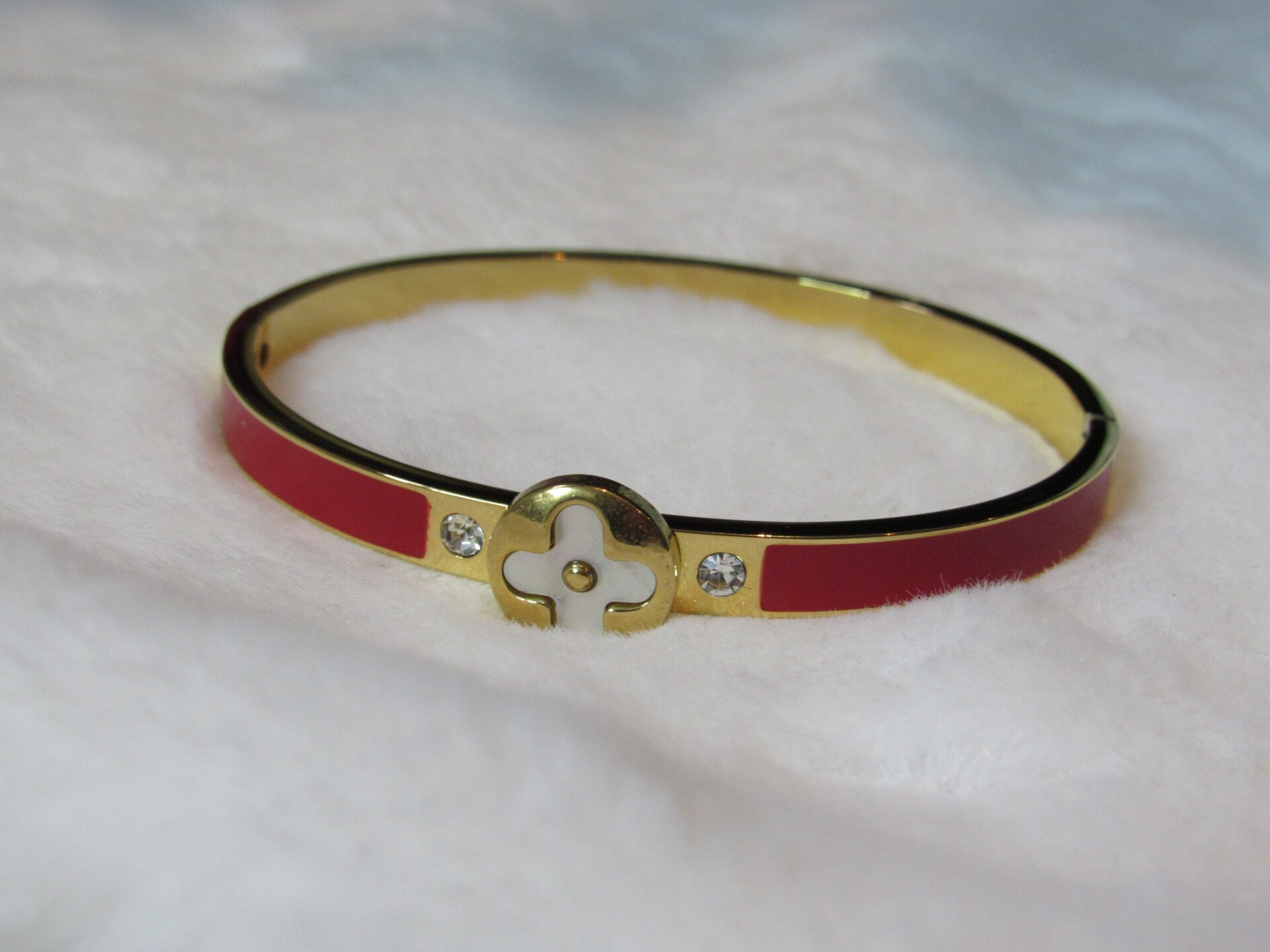 Titanium Four Leave Clover Bangle