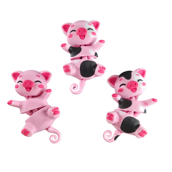 Piggie Magneten (set van 3)