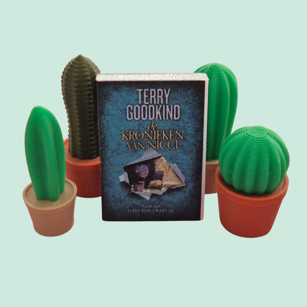 Mini cactus