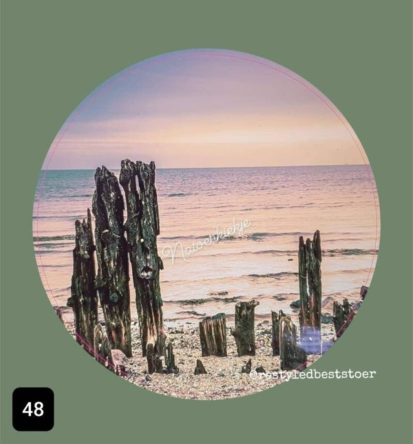 Muurcirkel Strand Verweerd Hout 48