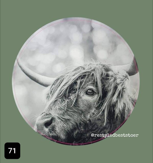 Muurcircel 71 Schotsehooglander