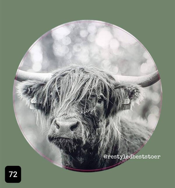 Muurcircel 72 Schotsehooglander