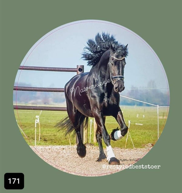 Muurcirkel Fries paard Galop 171