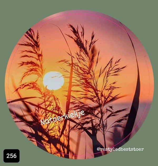 Muurcirkel Zon en Riet 256