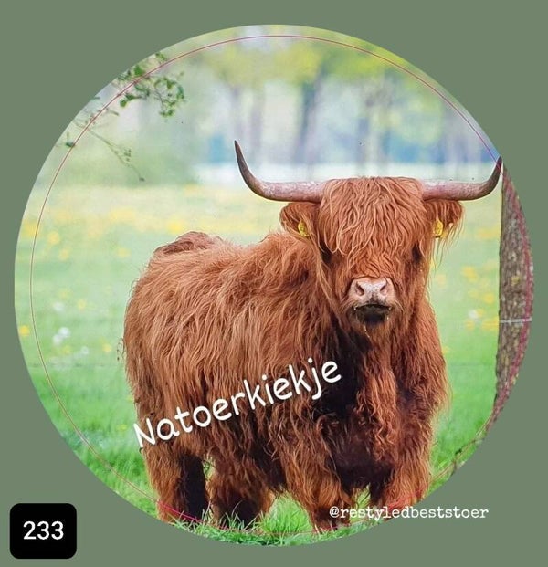 Muurcirkel Schotsehooglander 233